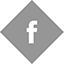 Facebook Icon